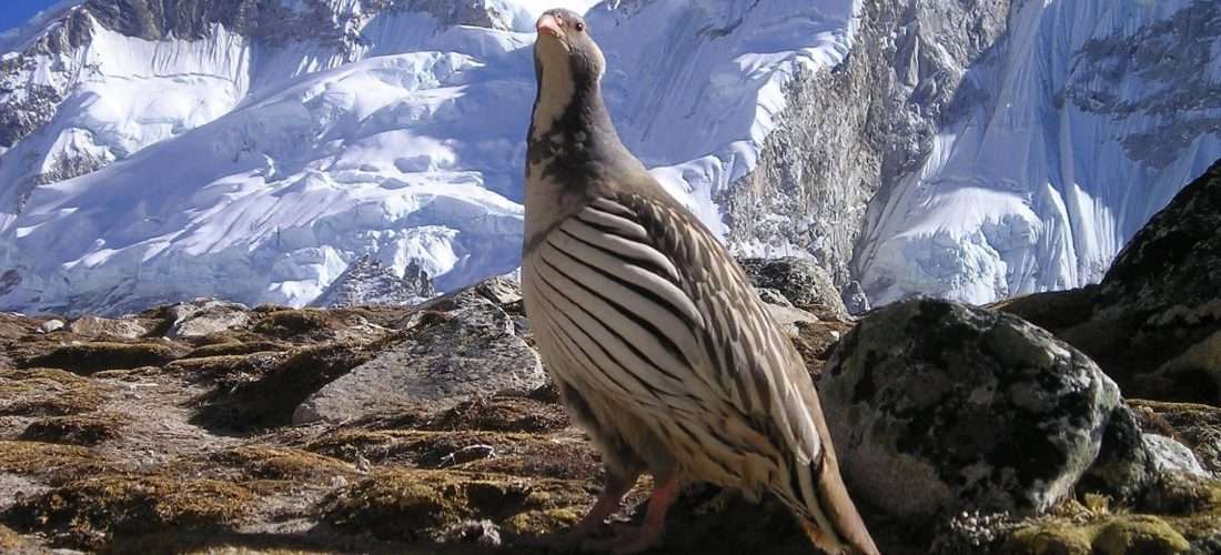 Beyond Trekking a Beautiful Landscape of Nepal