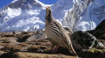 Beyond Trekking a Beautiful Landscape of Nepal