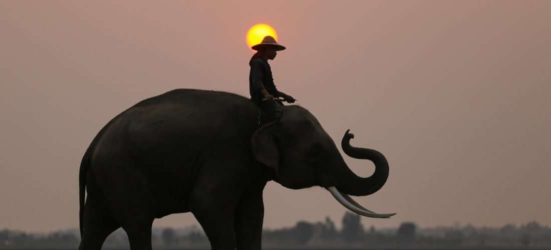 How to plan 72 hours in Thailand: A Complete Guide 2023